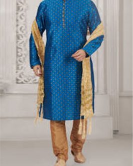Mens Punjabi